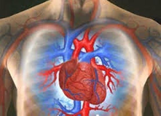 شیوع بیماری های قلبی در کشور