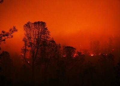بیماری تنفسی در کمین اهالی کالیفرنیا، قارچ های سمی سوخته کار دست بازماندگان آتش سوزی می دهد